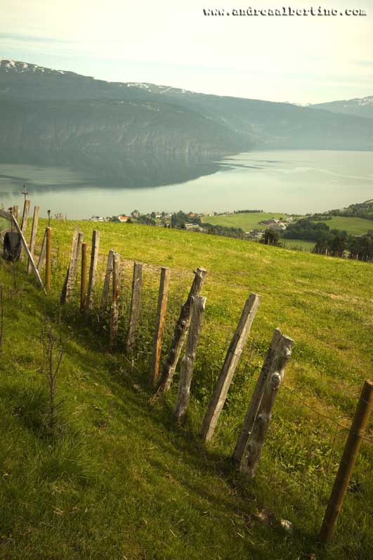 Nordfjord